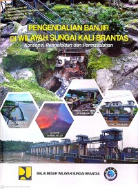Image of Pengendalian Banjir di Wilayah Sungai Kali Brantas: Konsepsi, Pengelolaan dan Permasalahan